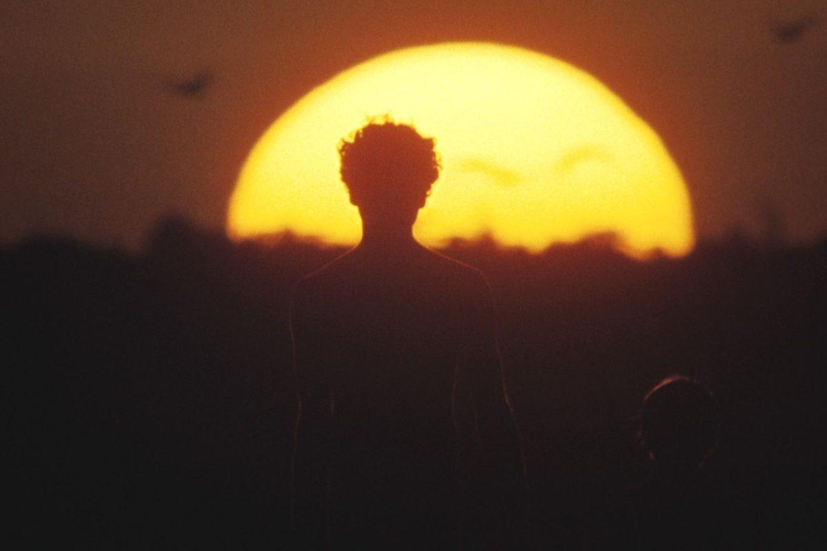 Walkabout | Screening at the NFSA image