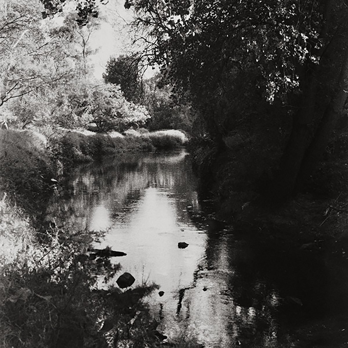 Row Image