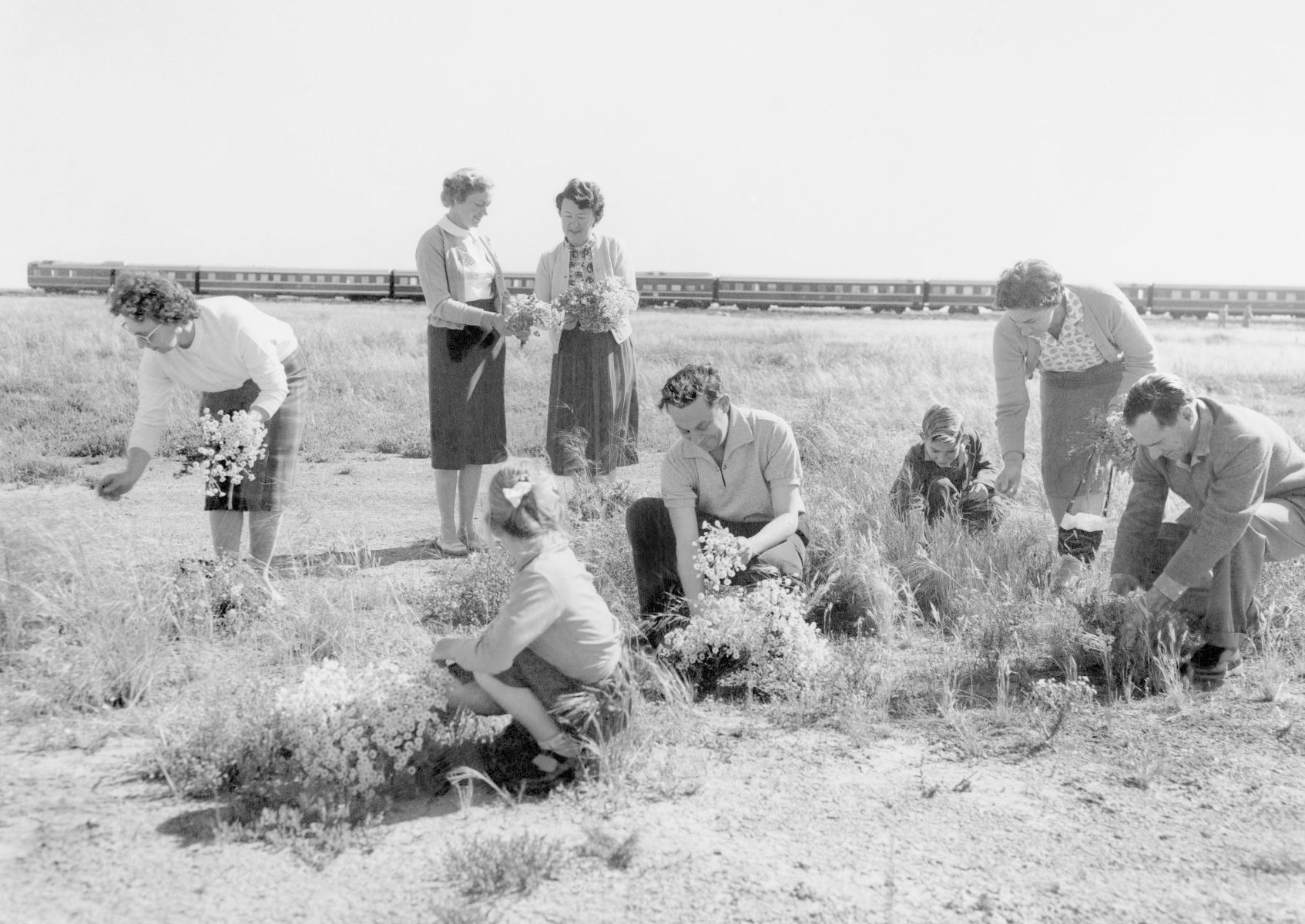 Row Image