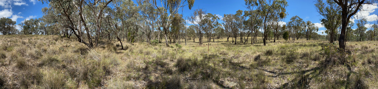 Row Image