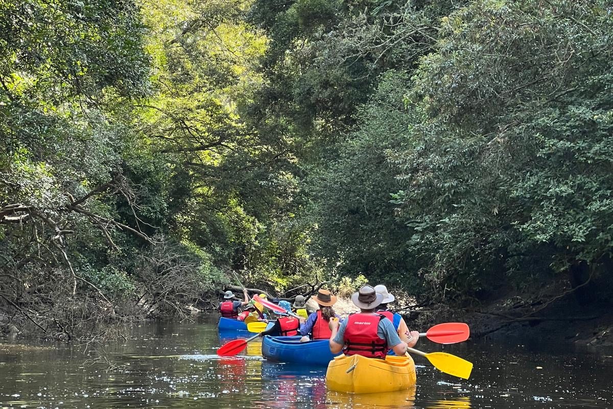 Try Scouting at Aranda image