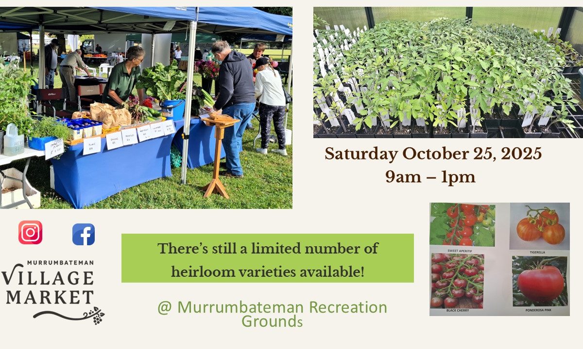 Murrumbateman Village Market image