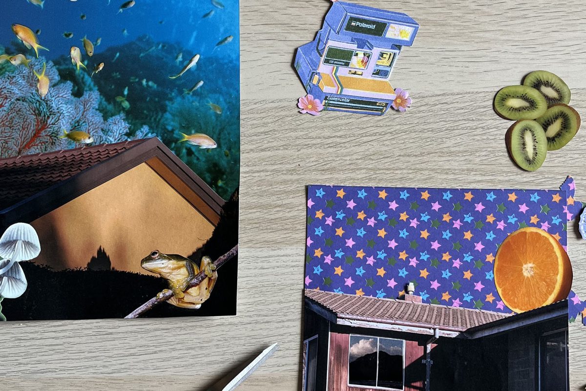 School Holidays: Summer Collage Workshop image