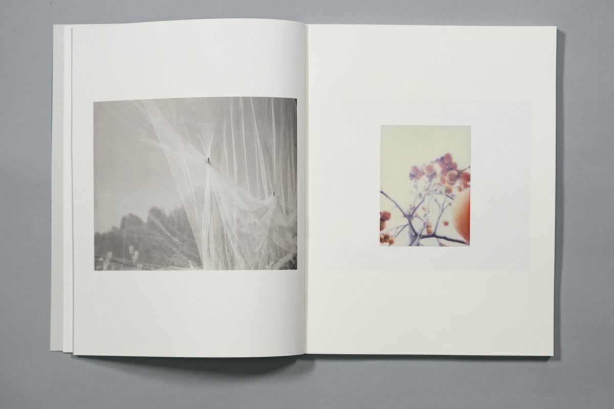 Concept to Publication 2026 Workshop image