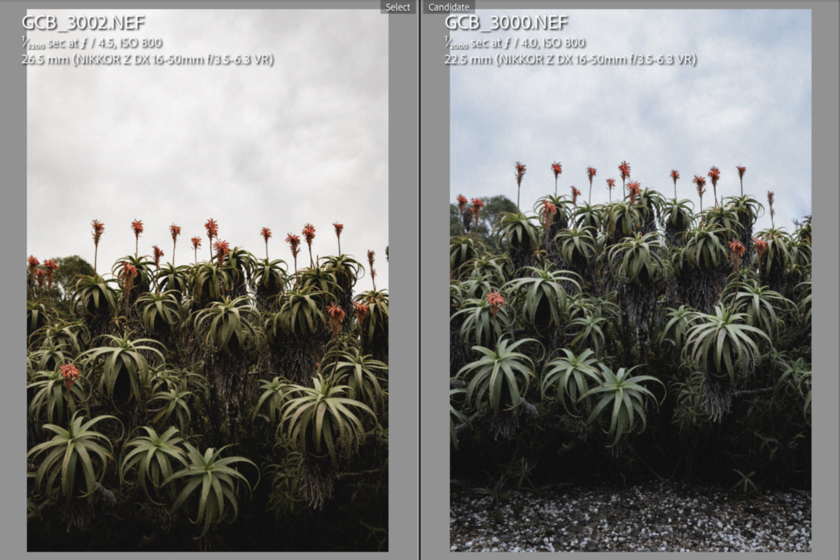 Lightroom and Colour Correction Online Workshop image