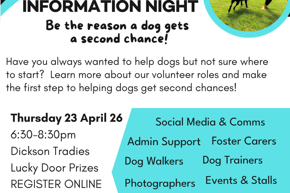ACT Rescue and Foster (ARF) Volunteers Information Night image