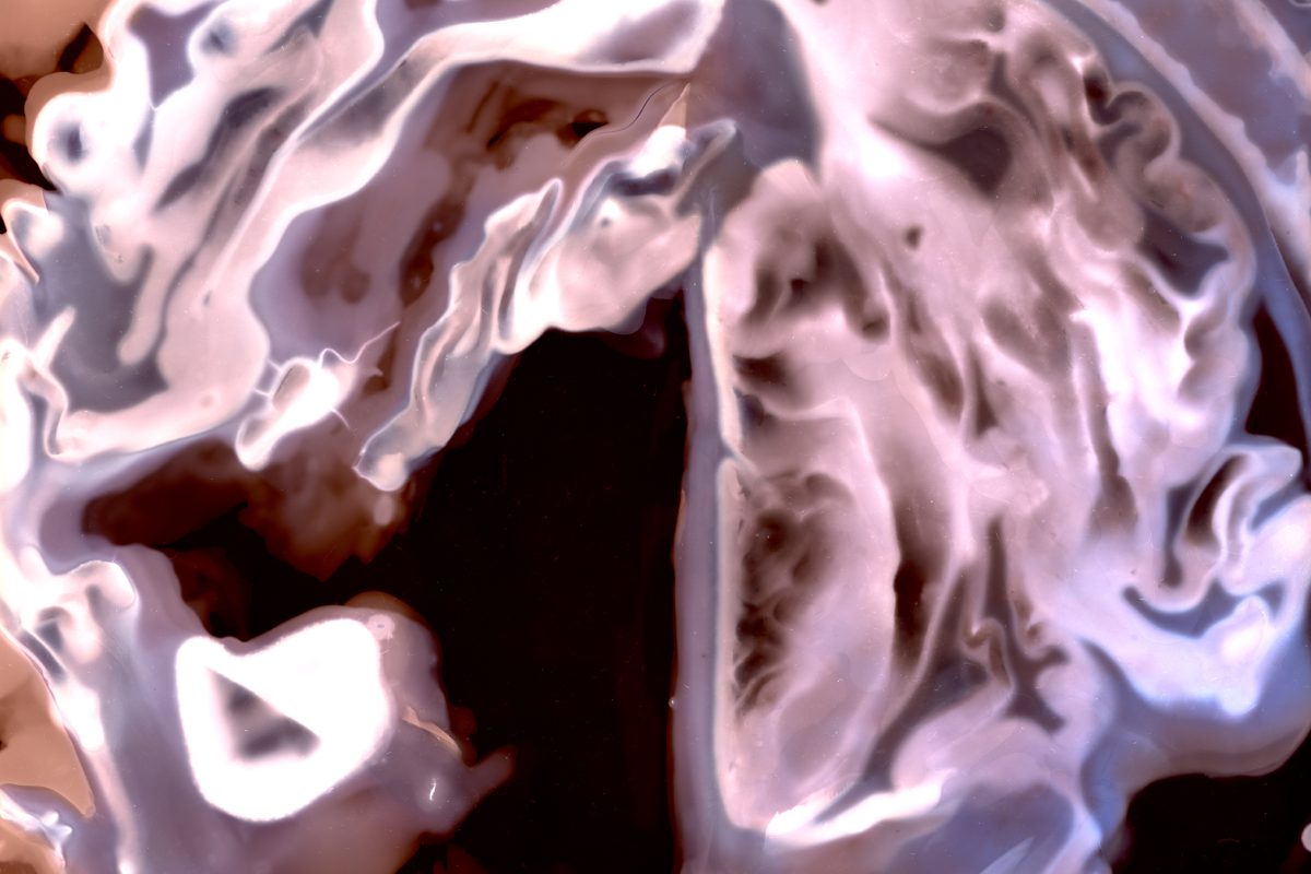 Eco Darkroom Series: Phytogram Printing Workshop image