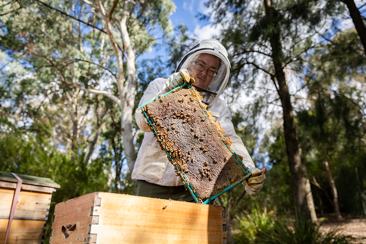 World Bee Day Tour image