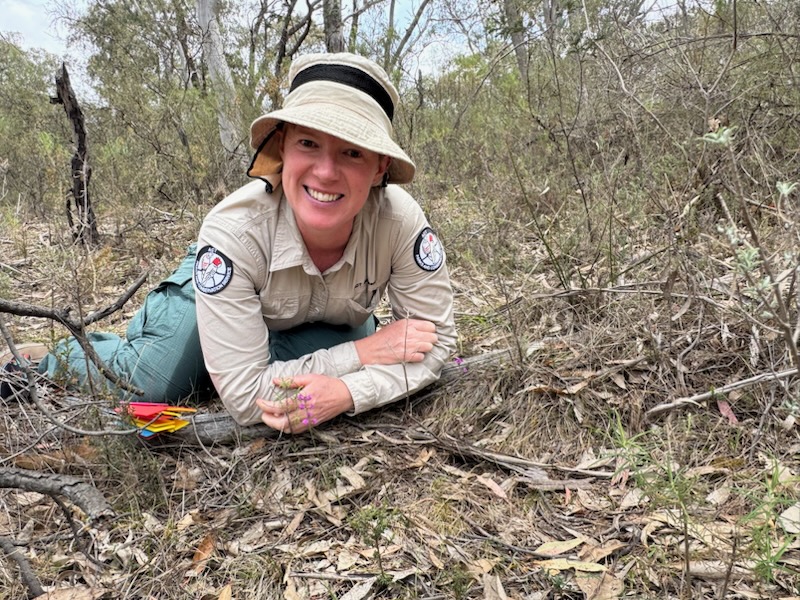 Tuggeranong Lignum (Muehlenbeckia tuggeranong). A talk by Peter Bredell and Emma Cookggeranong image