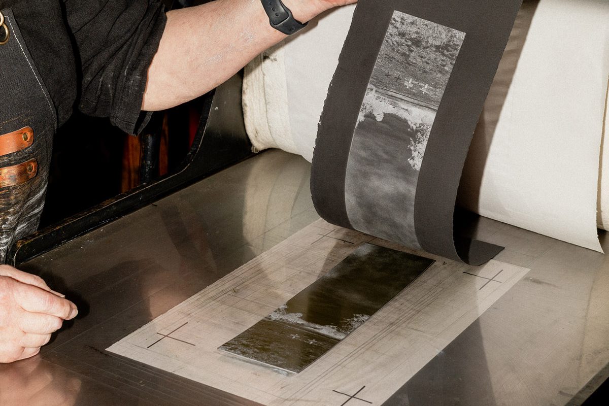 Botanic Gardens: From lens to print Workshop image
