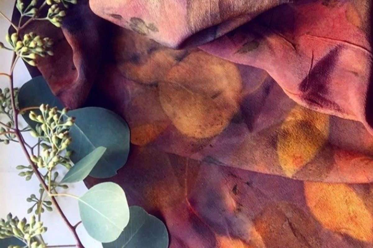 6-week Eco-Dyeing Short Course with Pinal Maniar image