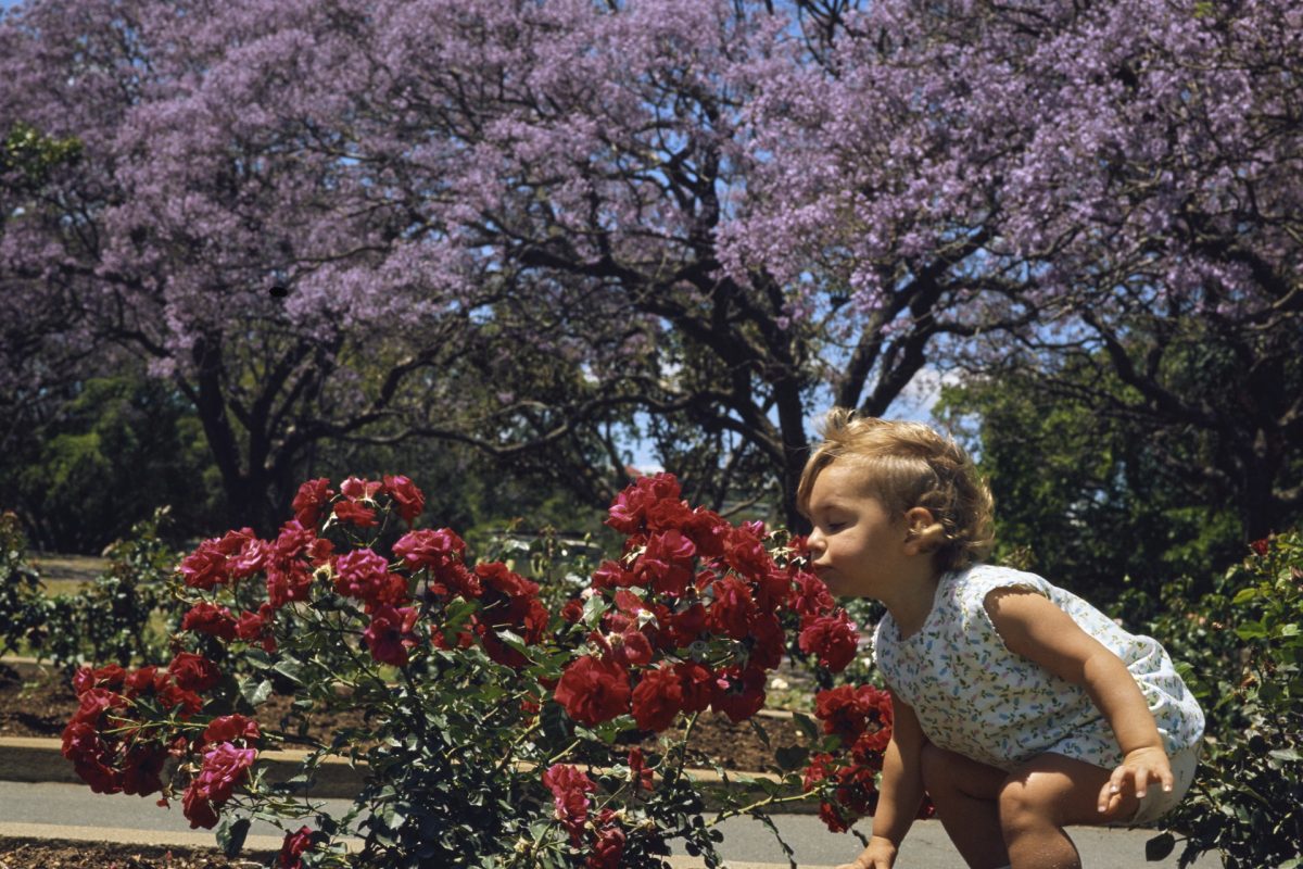 Stories in bloom: Murrulangalang Storytime image