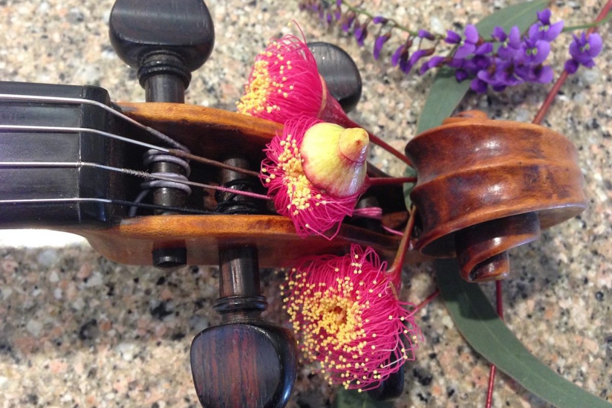 Saturday Salon with Robert Harris and Robert Manley: A Viola in Bloom image