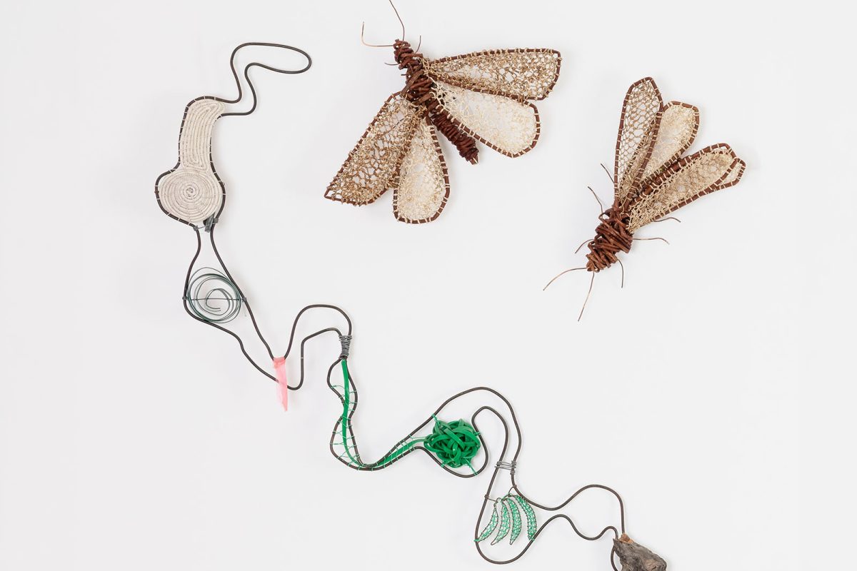 Exhibitions Opening at Tuggeranong Arts Centre image