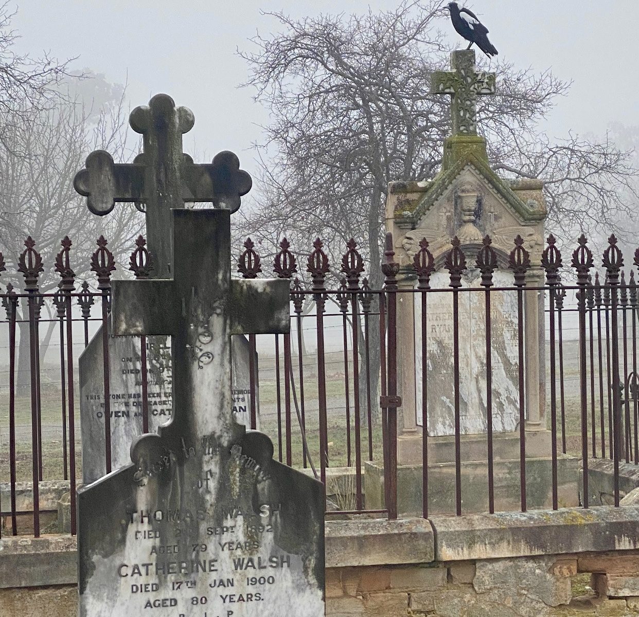 Row Image