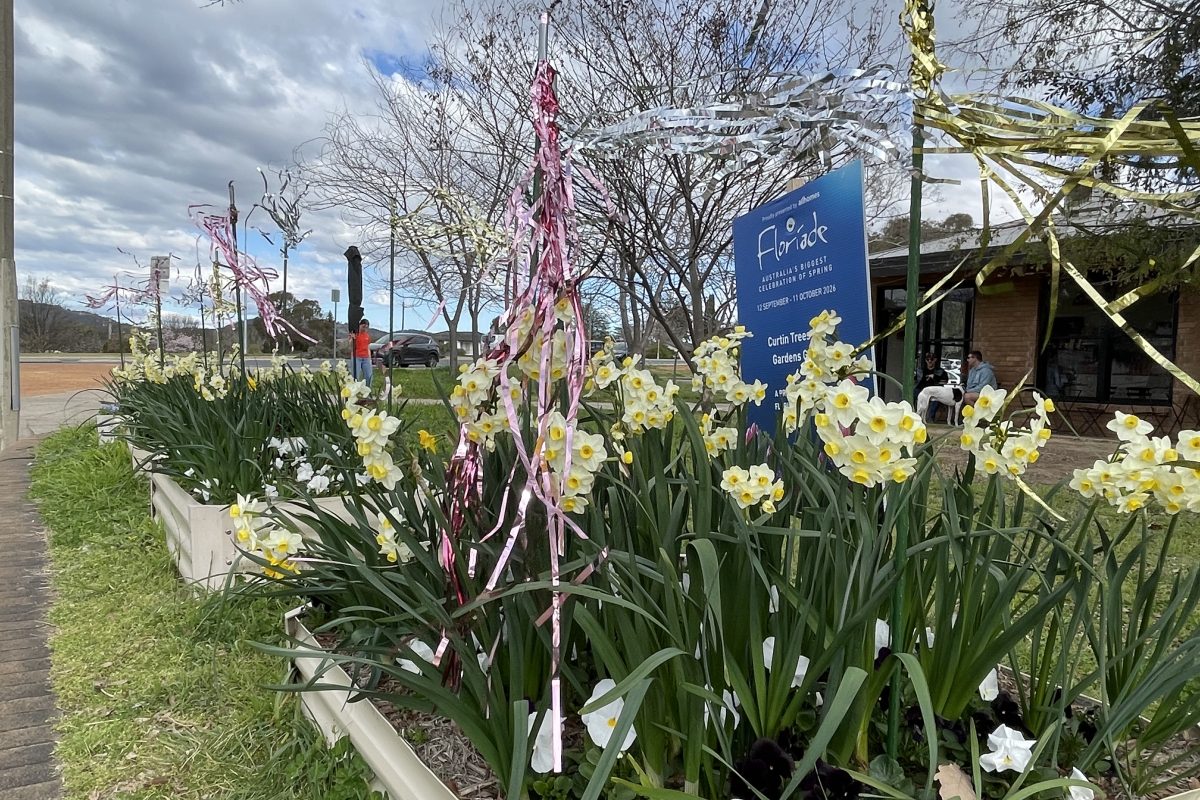 Pots to Plots: Curtin’s Spring Fair image