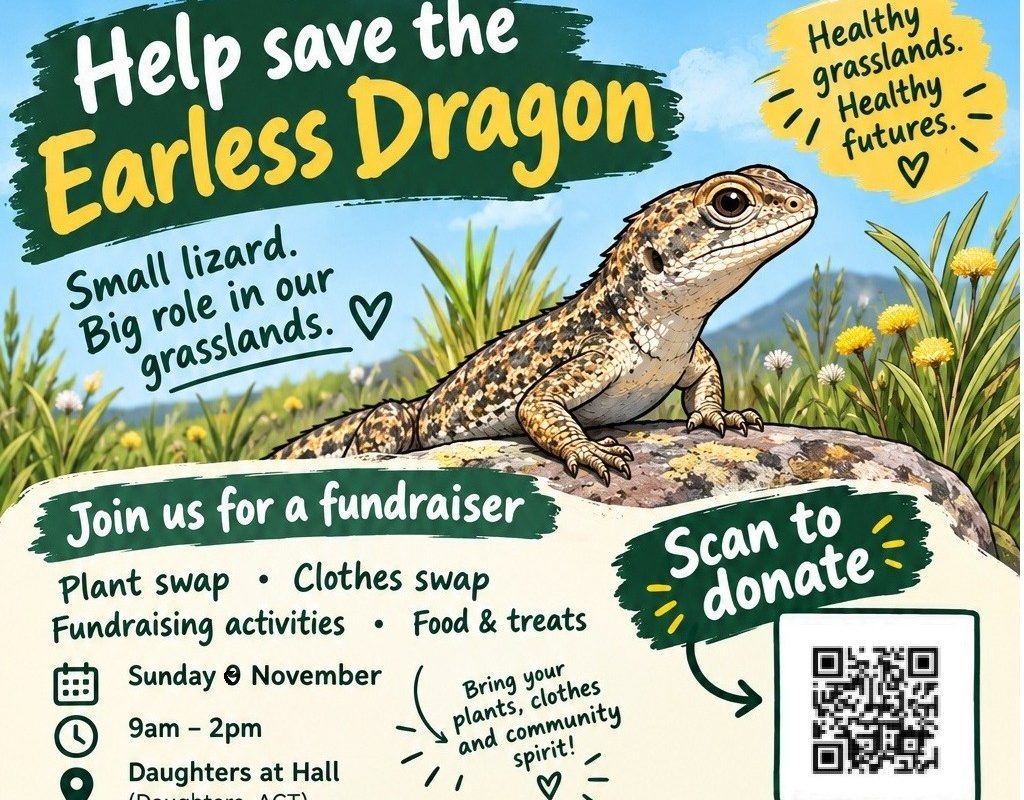 Earless Dragon Festival  and fundraising event image