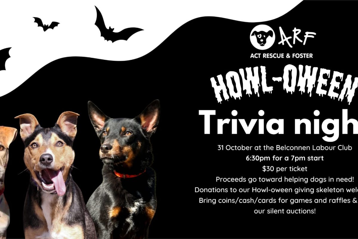 ACT Rescue and Foster Annual Trivia Night image