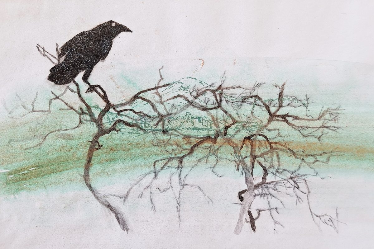 Sketching Al Fresco: Drawing Course image