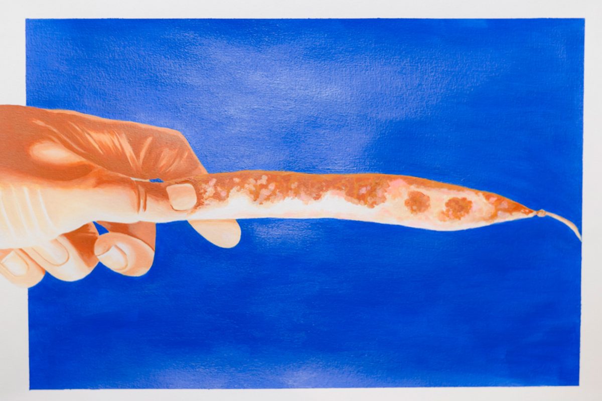 Acrylic Painting Short Course with Yamile Tafur Rios image